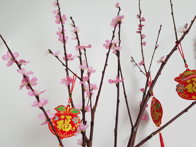 Nouvel An vietnamien - Décorations en papier dans des branches, arbustes en fleur